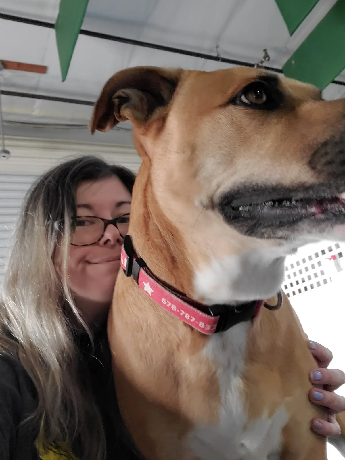 Sarah with a tan dog in a pink collar